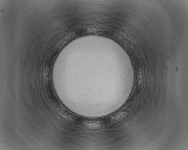 X0000087360275200705181159