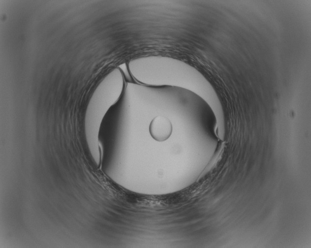 X0000087360276200705181159