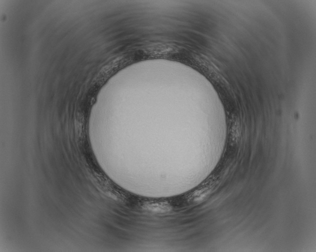 X0000087360283200705181159