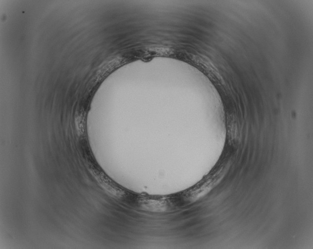 X0000087360285200705181159