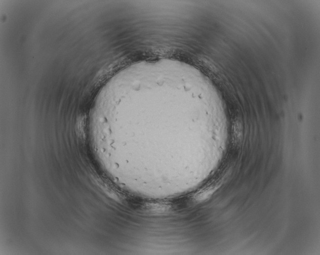 X0000087360286200705181159