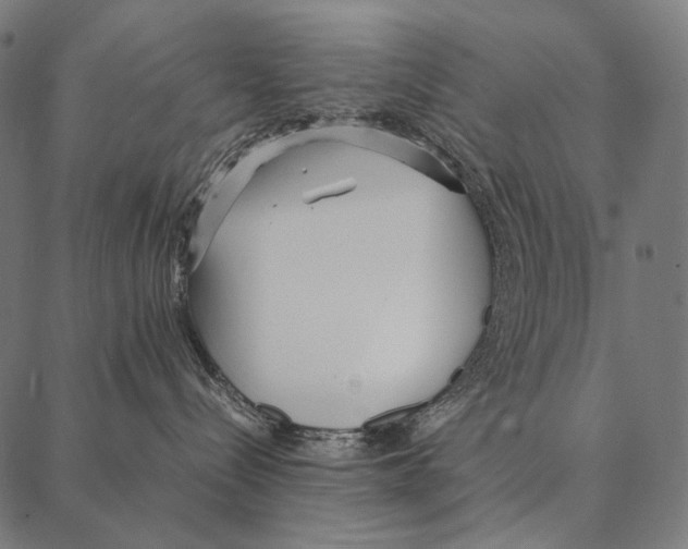 X0000087360288200705181159