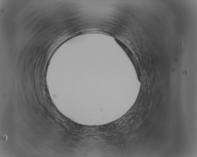 X0000087360289200705181158