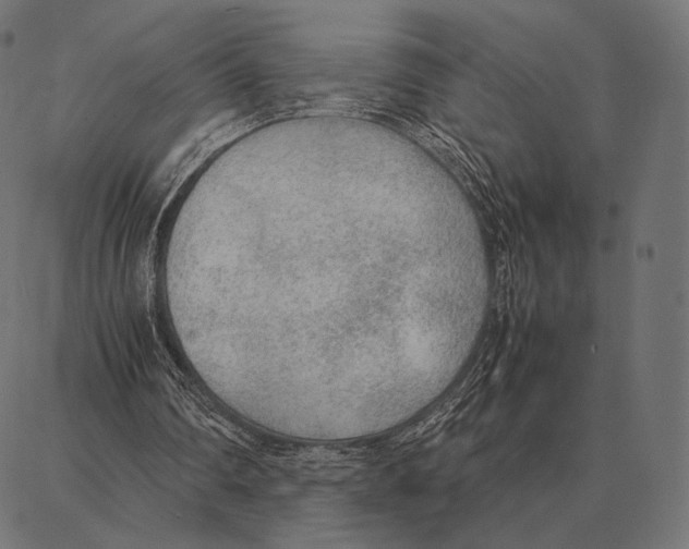 X0000087360290200705181158