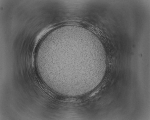 X0000087360294200705181158