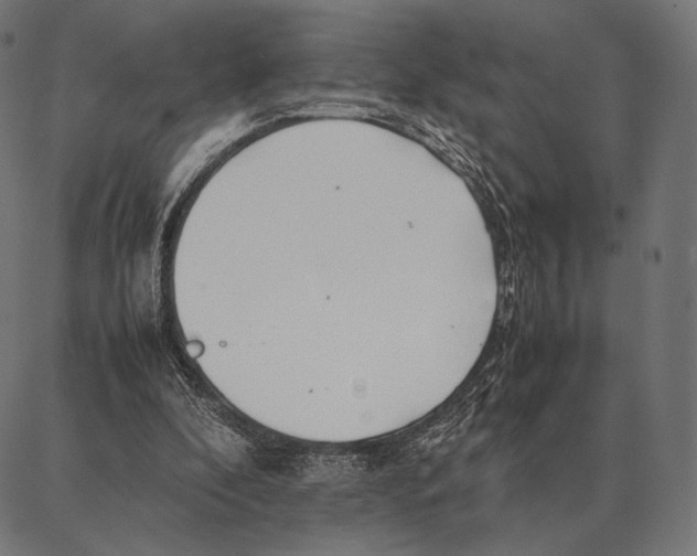 X0000087360296200705181158