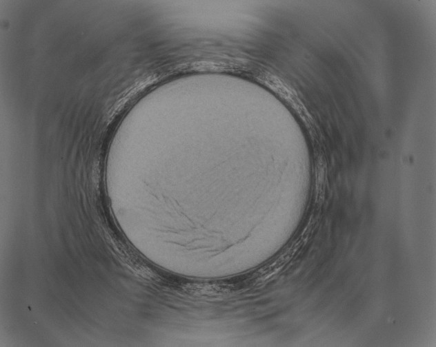 X0000087360297200705181158