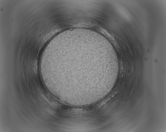 X0000087360298200705181158