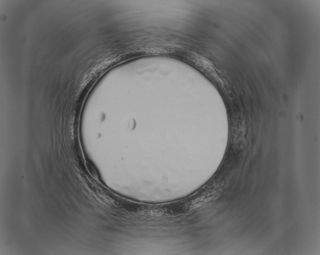 X0000087360299200705181158