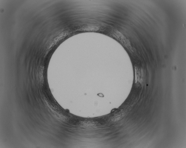 X0000087360300200705181158