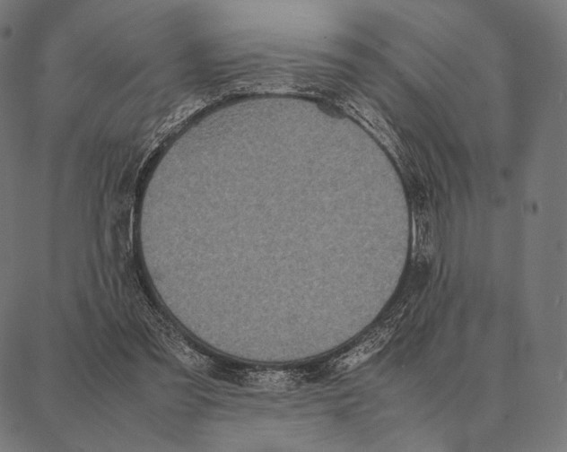 X0000087360301200705181158