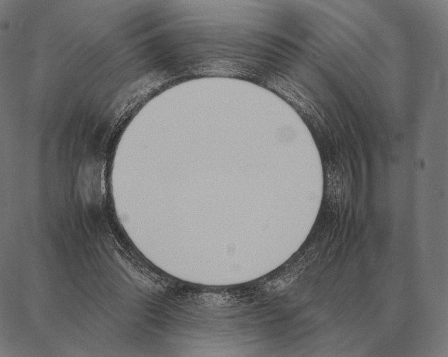 X0000087360302200705181158