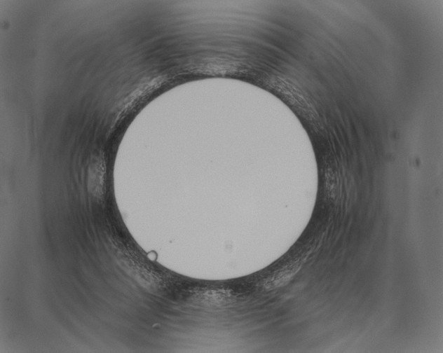 X0000087360304200705181158