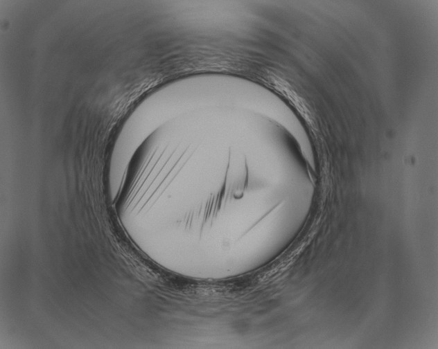 X0000087360305200705181158