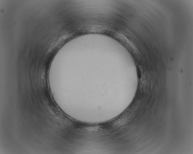 X0000087360306200705181158