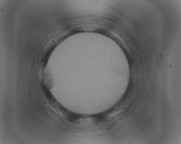 X0000087360307200705181158