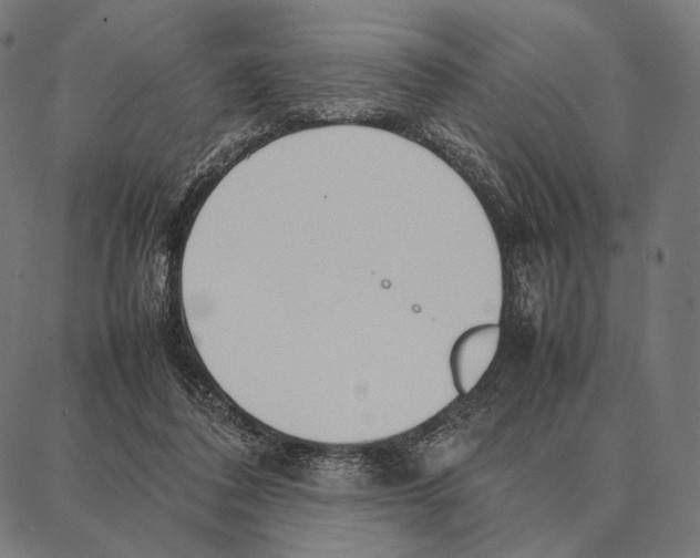 X0000087360308200705181158