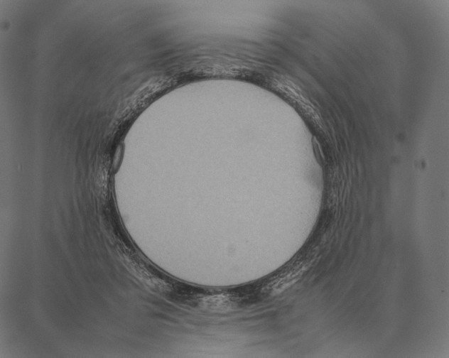 X0000087360309200705181158