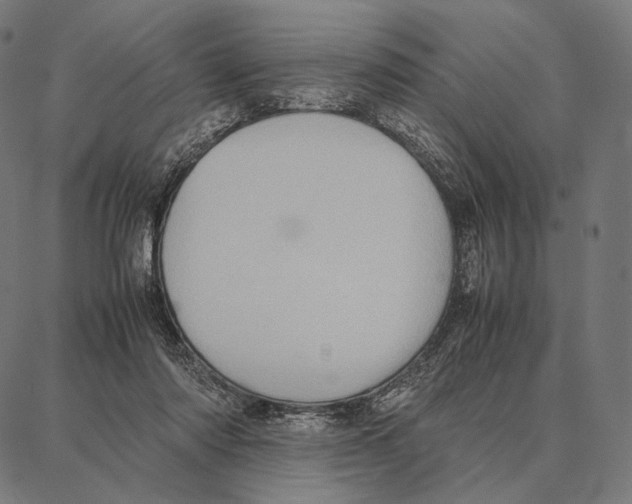 X0000087360310200705181158