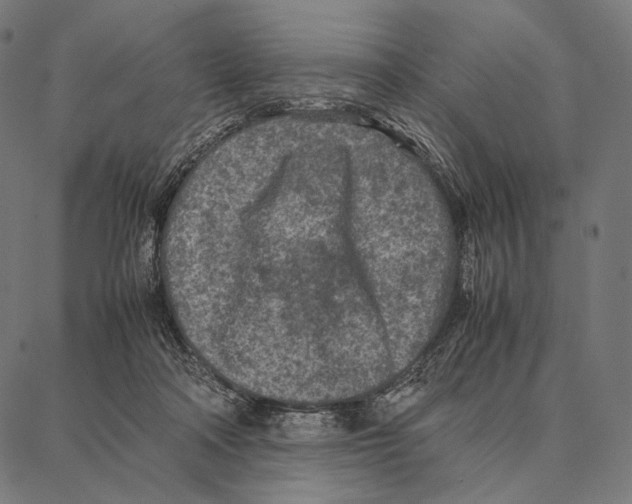 X0000087360314200705181158