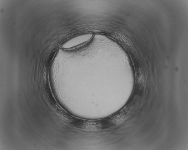 X0000087360315200705181158