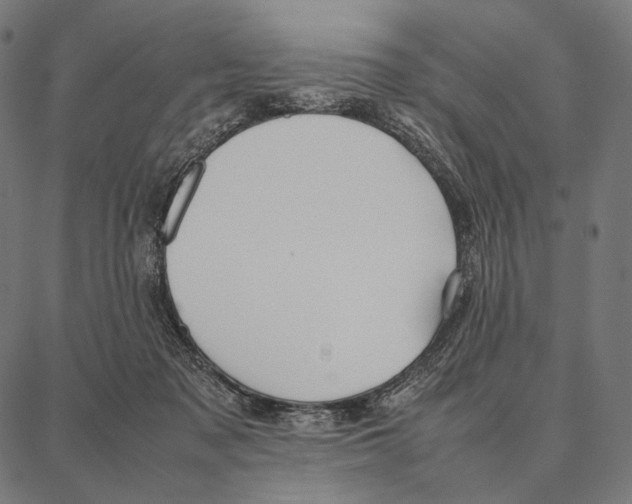 X0000087360317200705181158