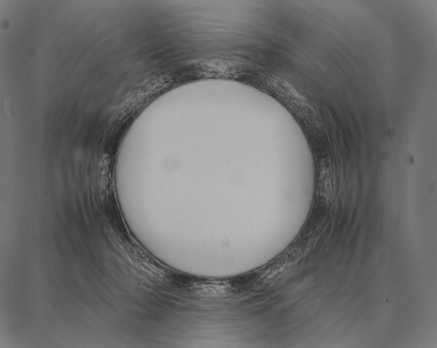 X0000087360318200705181158