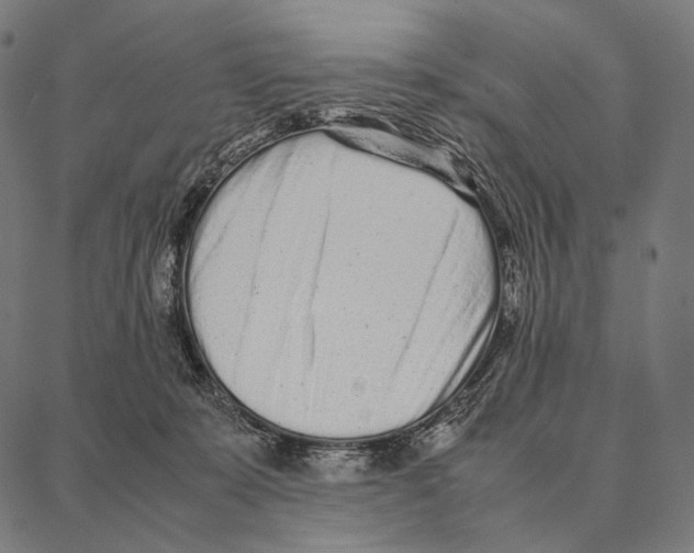 X0000087360319200705181158