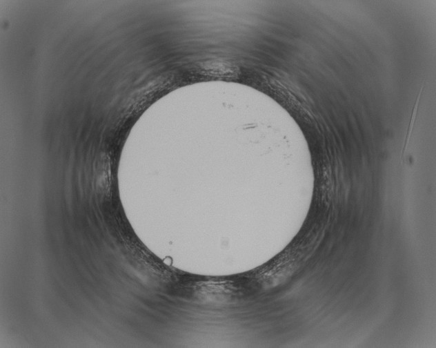 X0000087360320200705181158