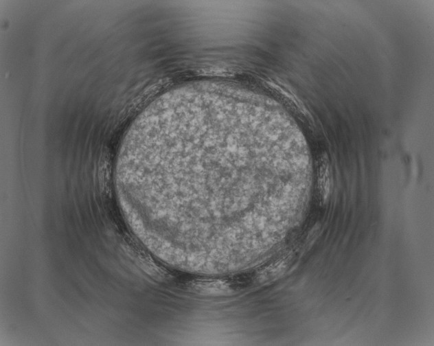 X0000087360322200705181158