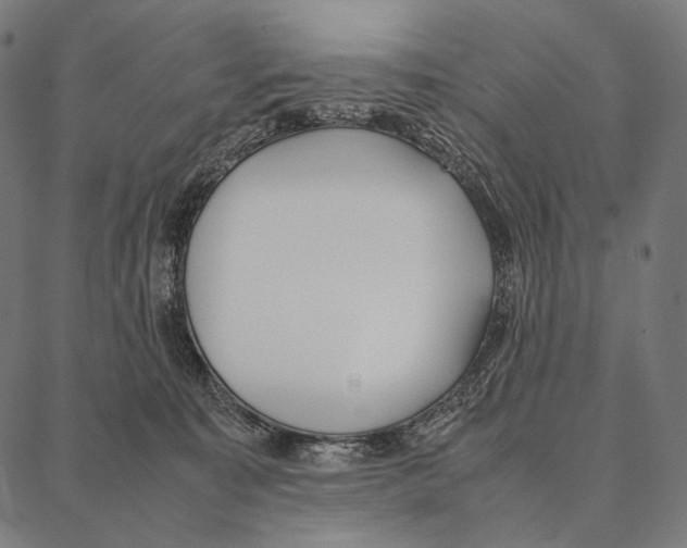 X0000087360323200705181158