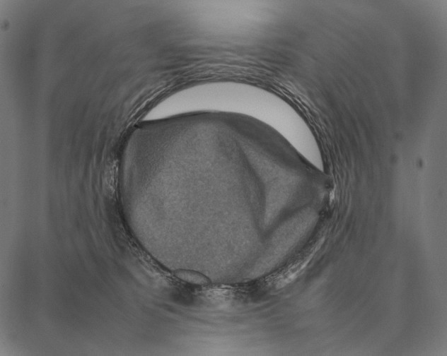 X0000087360325200705181158