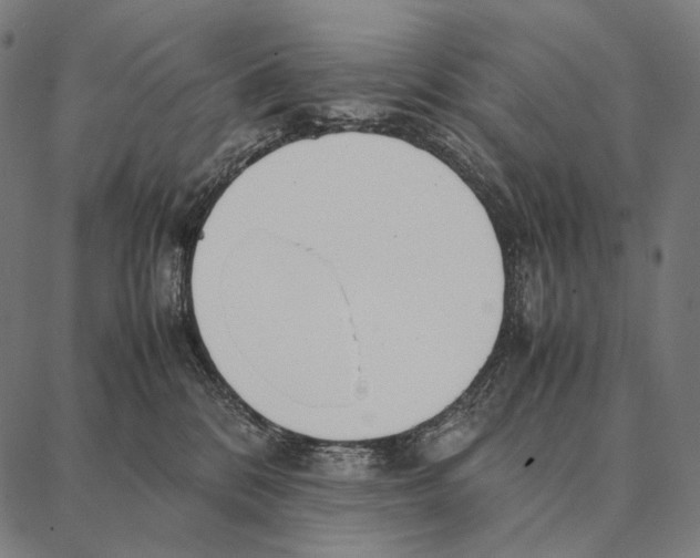 X0000087360328200705181158