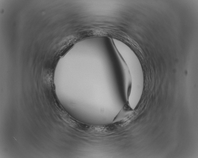 X0000087360329200705181158