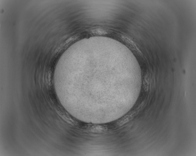 X0000087360330200705181158