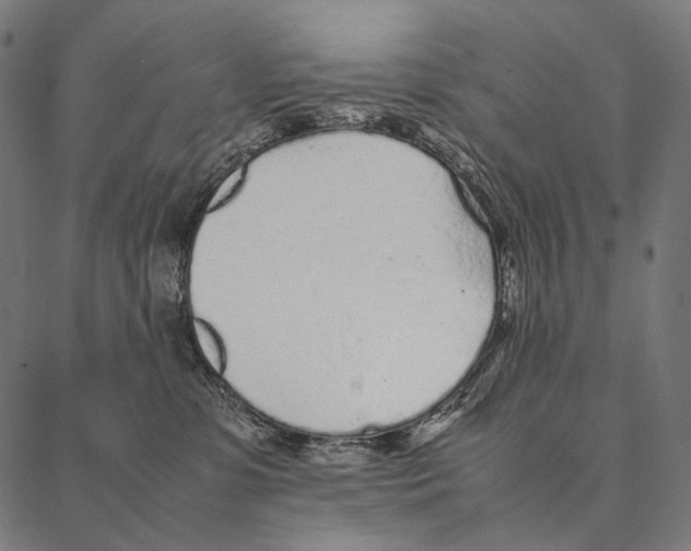 X0000087360331200705181158