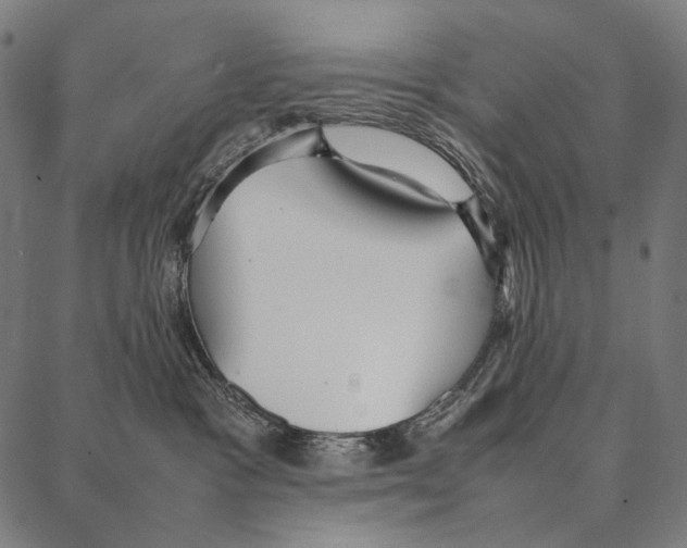 X0000087360333200705181158