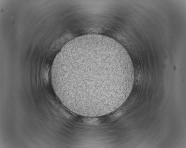 X0000087360334200705181158