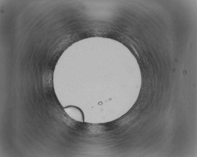 X0000087360336200705181158