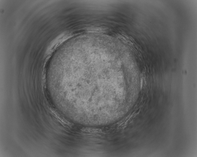 X0000087360339200705181157