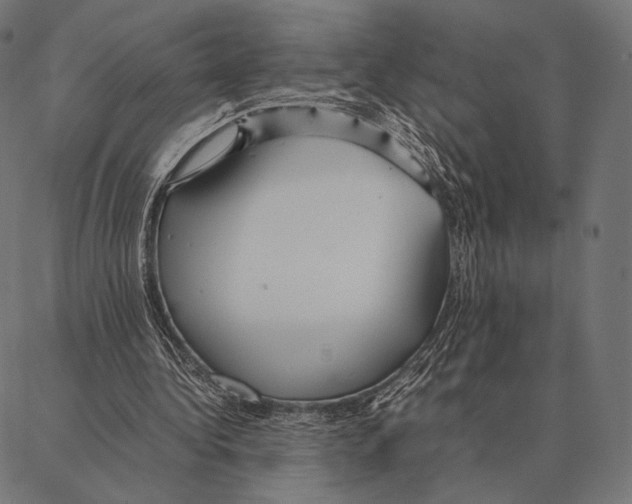 X0000087360340200705181157