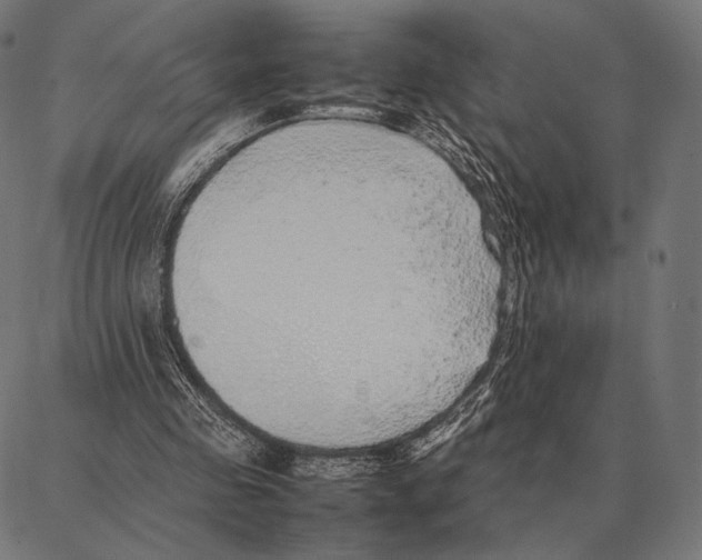 X0000087360341200705181157