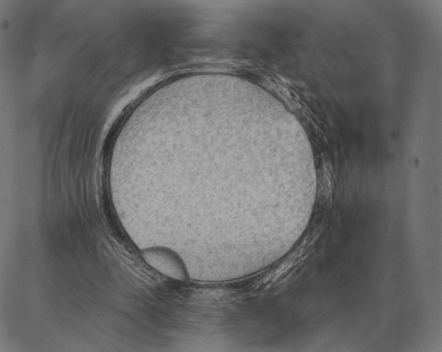 X0000087360342200705181157