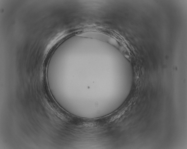 X0000087360344200705181157