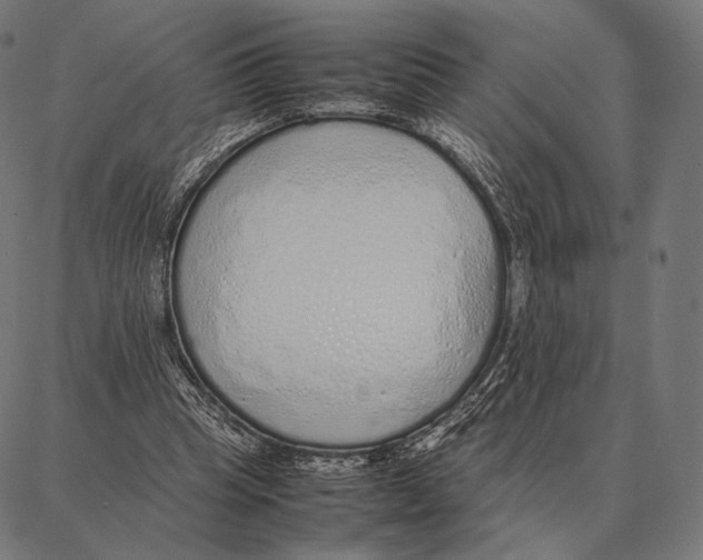 X0000087360345200705181157