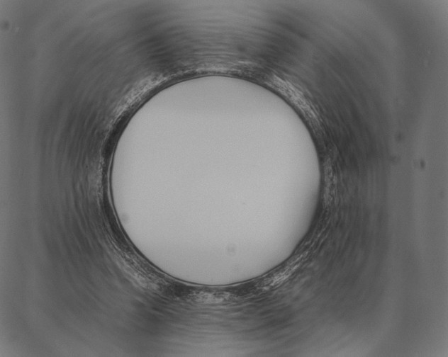 X0000087360346200705181157