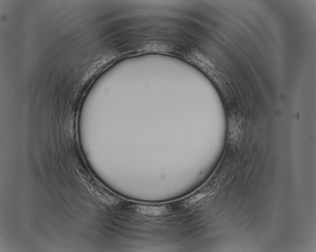 X0000087360347200705181157