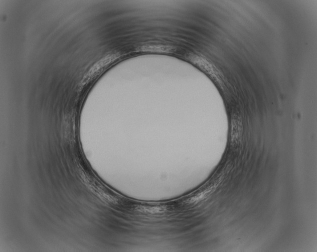 X0000087360349200705181157