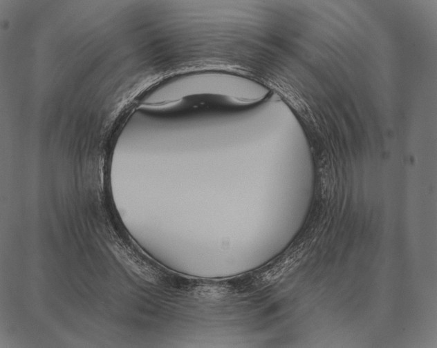 X0000087360350200705181157