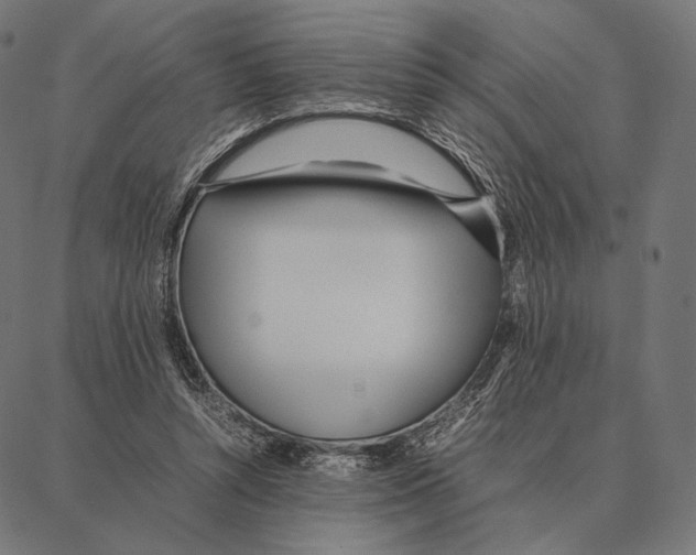 X0000087360352200705181157